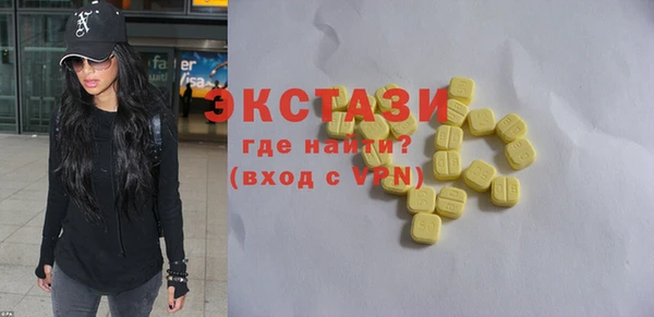 индика Анжеро-Судженск