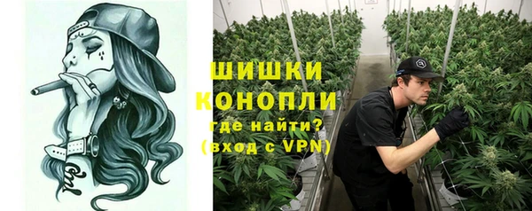 стафф Богородицк