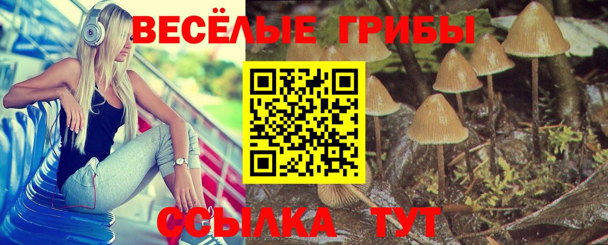 Галлюциногенные грибы мухоморы Буйнакск