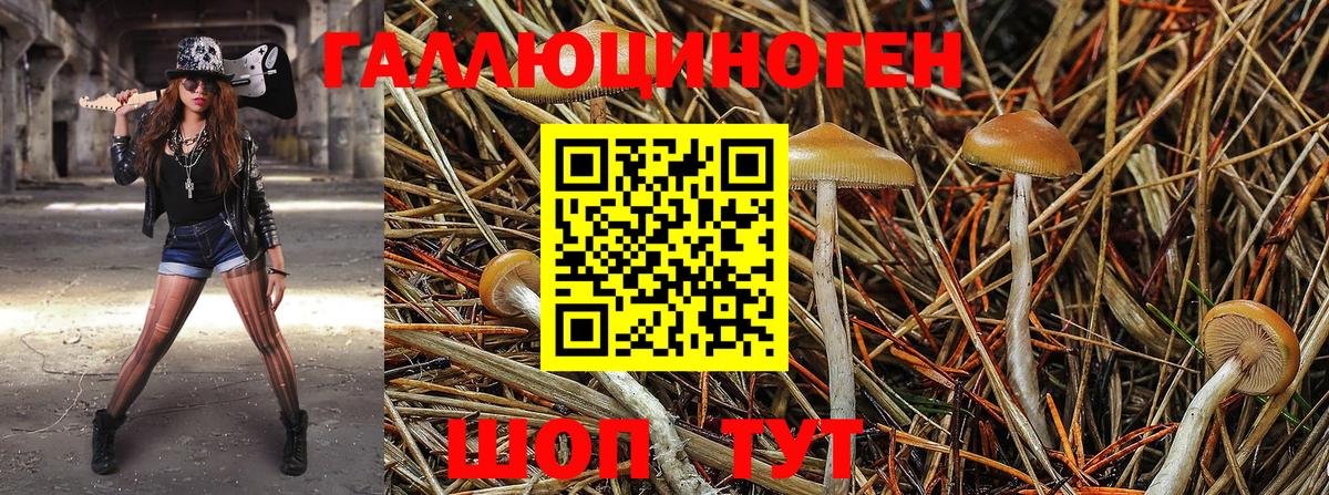 Галлюциногенные грибы мицелий  Буйнакск 